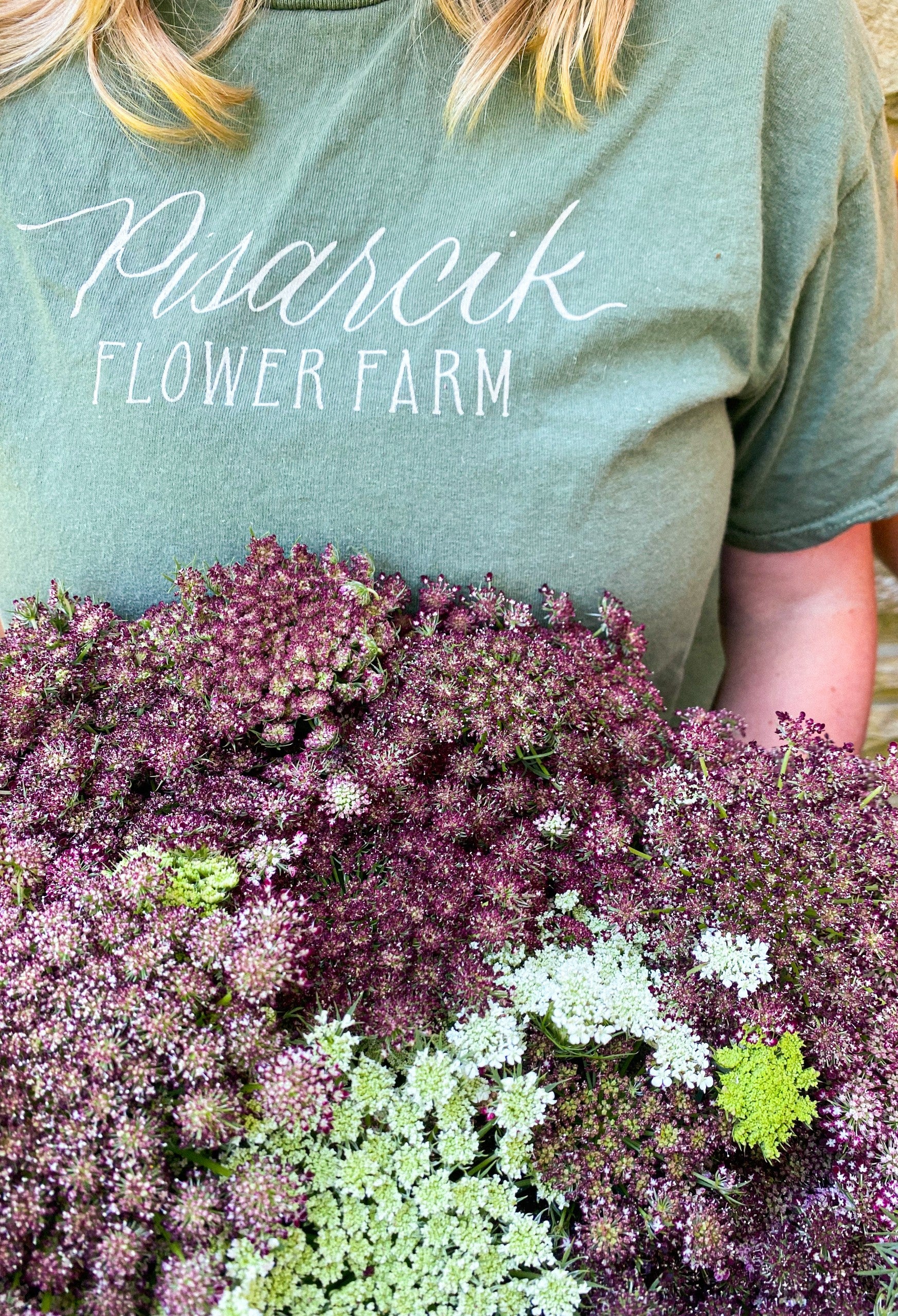 Chocolate Lace Flower | Dara | Pisarcik Flower Farm