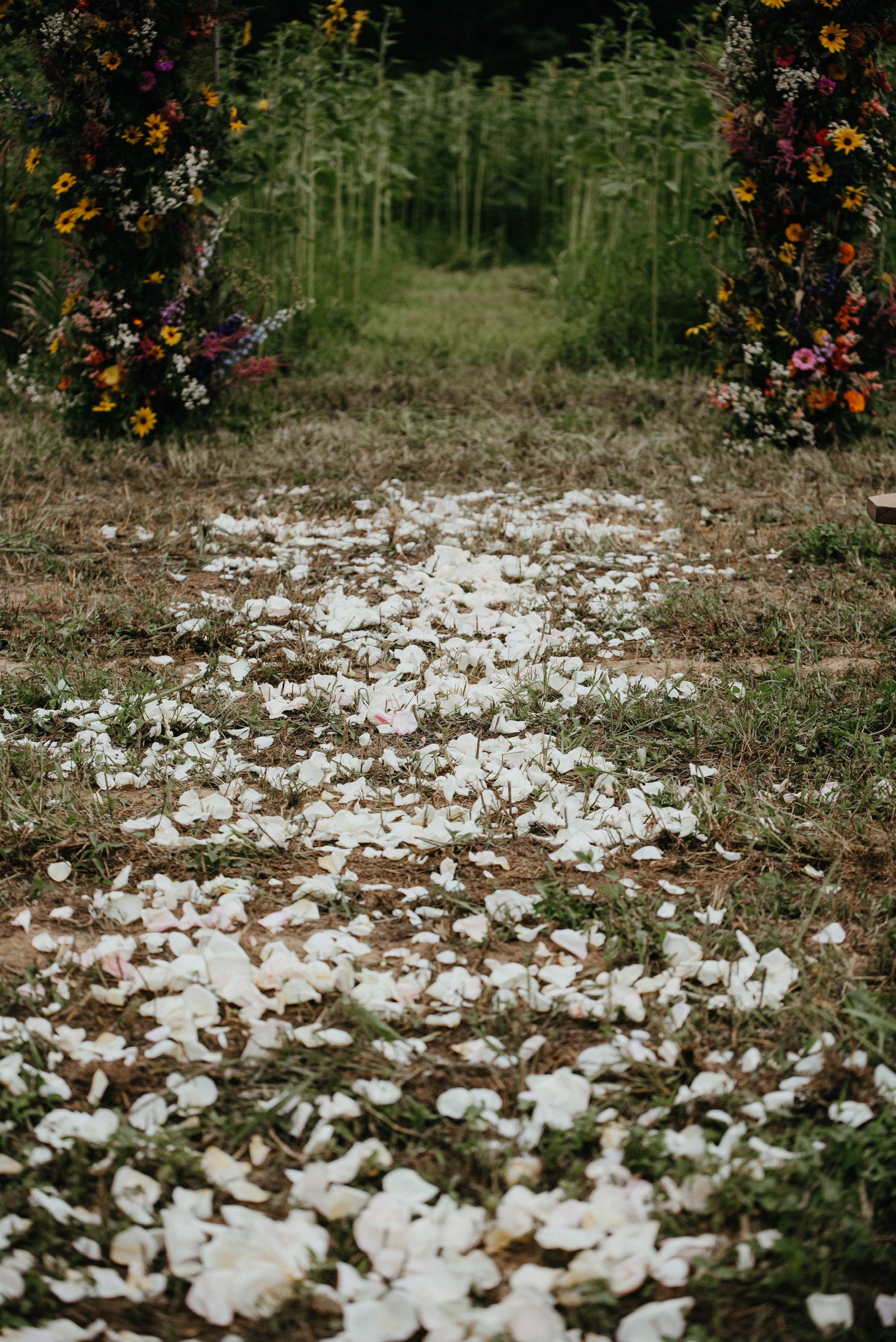 Flower girl flower petals clearance